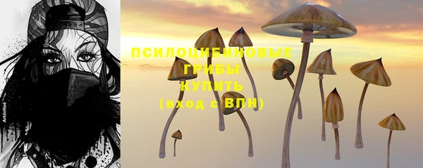 герыч Няндома