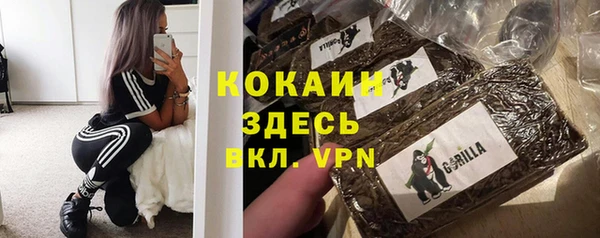 mdpv Новодвинск