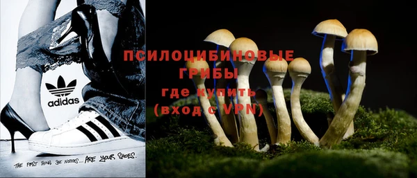 бошки Волосово