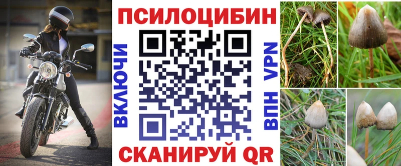 Галлюциногенные грибы прущие грибы  MEGA ONION  Зерноград 