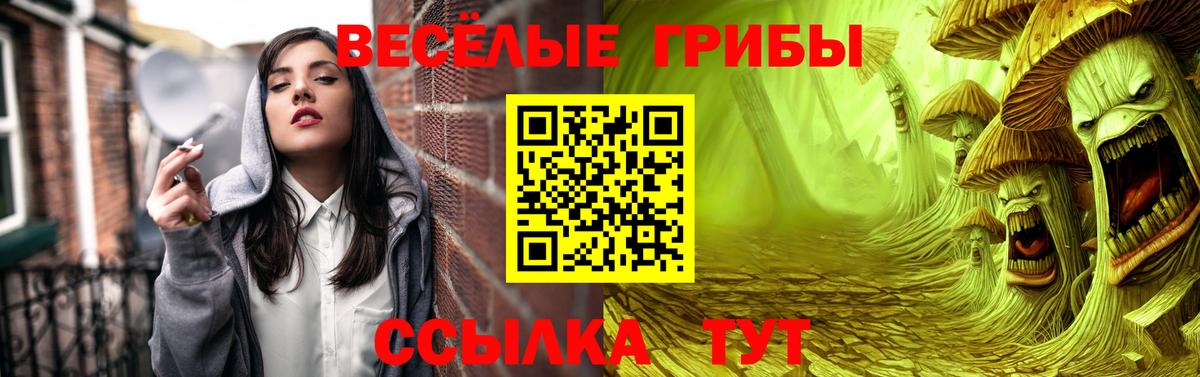 Галлюциногенные грибы прущие грибы Зерноград